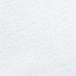 Бумага для акварели А4 ЛИЛИЯ ХОЛДИНГ 200г/м   /БР-0354             *152414