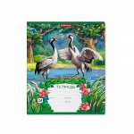 Тетрадь  24л лин. ПОЛИГРАФИКА "Экзотические птицы"   /46611               *179301