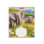 Тетрадь  12л лин. ПОЛИГРАФИКА "Саванна"   /46549               *179224