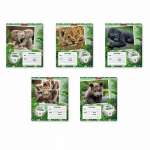 Тетрадь  12л лин. ПОЛИГРАФИКА "Baby Jungle"   /48833               *314254