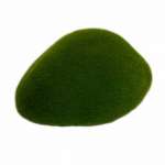 Мох иск. Айрис 8,5*11,5*5см   /17FT01385           *317450