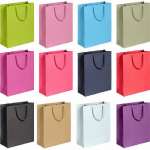 Пакет подарочный бумаж. 17,5*25,5*17см deVENTE "Classic" ассорти   /9041202             *349905