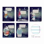 Тетрадь  12л лин. фольга АЛЬТ "MAGIC NIGHT" 5 видов   /7-12-796/2          *352293