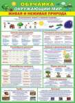 Плакат обучающий 50*70см МИР ОТКРЫТОК "Окружающий мир"   /0-02-522            *321237