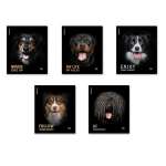 Тетрадь  96л кл. ПОЛИГРАФИКА "Собаки" MIX-PACK   /59977               *357341