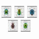 Тетрадь  48л кл.  выб.лак фольга конгрев  ПОЛИГРАФИКА "Жуки" MIX-PACK   /60612               *360579