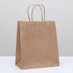 Пакет упаковочный крафт. Айрис 22*12*25см с кругл. ручками   /1263050             *349083