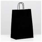 Пакет упаковочный крафт. Айрис 26*15*35см с ручками черный   /6973769             *349077