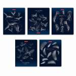 Тетрадь  96л кл.  фольга SVETOCH "Удивительная"   /000770              *353814