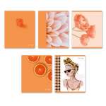 Тетрадь  96л кл. SVETOCH "Абрикосовый краш"   /01005               *363551