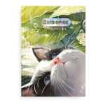 Дневничок для девочек ФЕНИКС А5 48л 7БЦ "Утренний кот" фольга   /70159               *364929