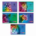 Альбом для рис. А4 48л карт.мел. SVETOCH "Большие кошки" 100 г/м2   /48АЛСК4_000268      *353741