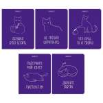 Тетрадь  48л кл.  твин.лак Академия Холдинг "Кошачье настроение" асс.   /15027/5             *369220