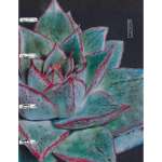 Тетрадь на кольцах 120л кл. иск.кожа. ЭКСМО "Art line. 8" интегр.обл.   /ПБИ1205102          *369119