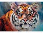 Мозаика алмазная 17*22 Рыжий кот блест. "Взгляд тигра" по номерам, на картоне, част.заполн.   /НД-0710             *367767