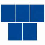 Тетрадь  96л кл.  выб.лак Академия Холдинг "Синяя"   /13991/5             *361713