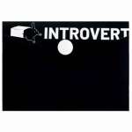 Папка-конверт на кн. А7  ФЕНИКС "Интроверт" для карт и визиток 10,5*7,4см   /69040               *366039