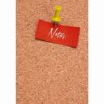 Тетрадь 100л кл. тв.обл. Эксмо "Notes"   /КЗ51003506          *351732