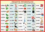 Плакат обучающий 50*70см МИР ОТКРЫТОК "Пишите правильно"   /0-02-298            *128016