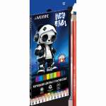 Карандаши 12 цв deVENTE "Hey Bro" 2М шестигр. пластик.корпус, к/к   /5022638             *373770